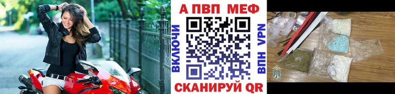 APVP СК Любим