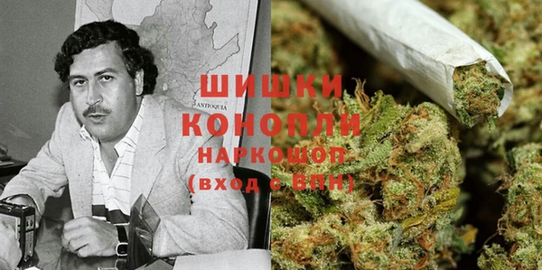 ECSTASY Гусев