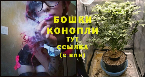 МДПВ Карпинск