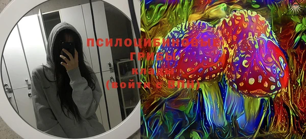 стафф Гусь-Хрустальный