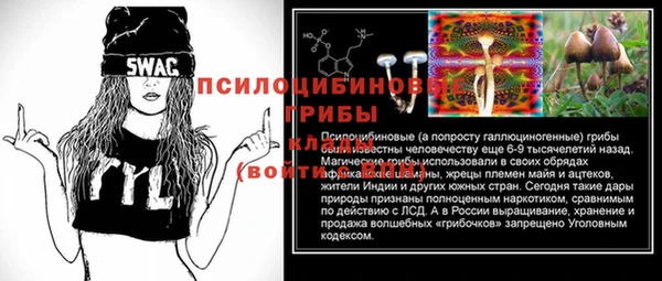 стафф Гусь-Хрустальный