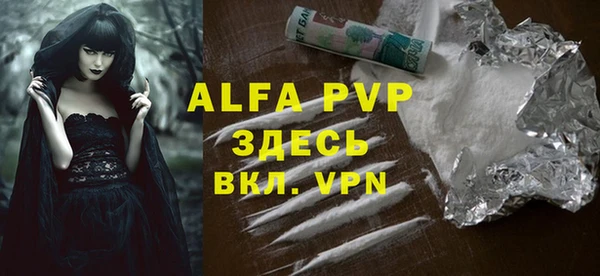 ECSTASY Гусев