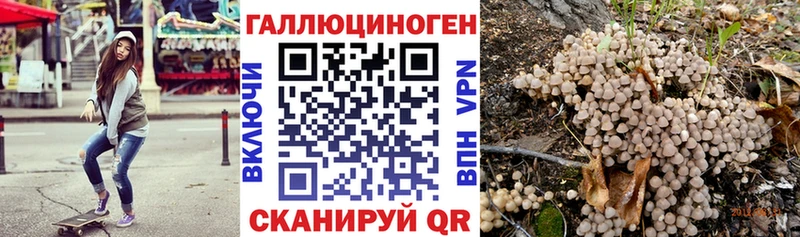 Псилоцибиновые грибы GOLDEN TEACHER  Любим 